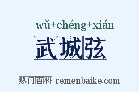 武城弦是什么意思的图片